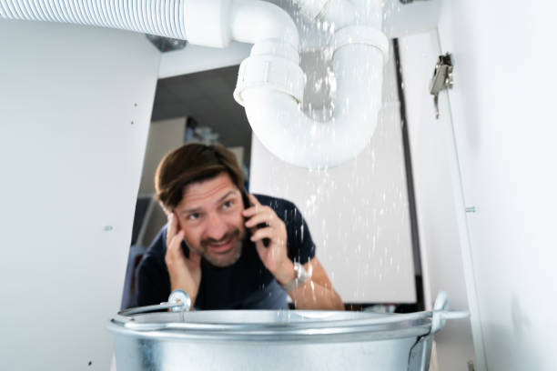  , ID Plumbing Pros